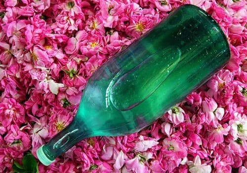 https://shp.aradbranding.com/خرید و قیمت گلاب کاشان سنتی + فروش صادراتی